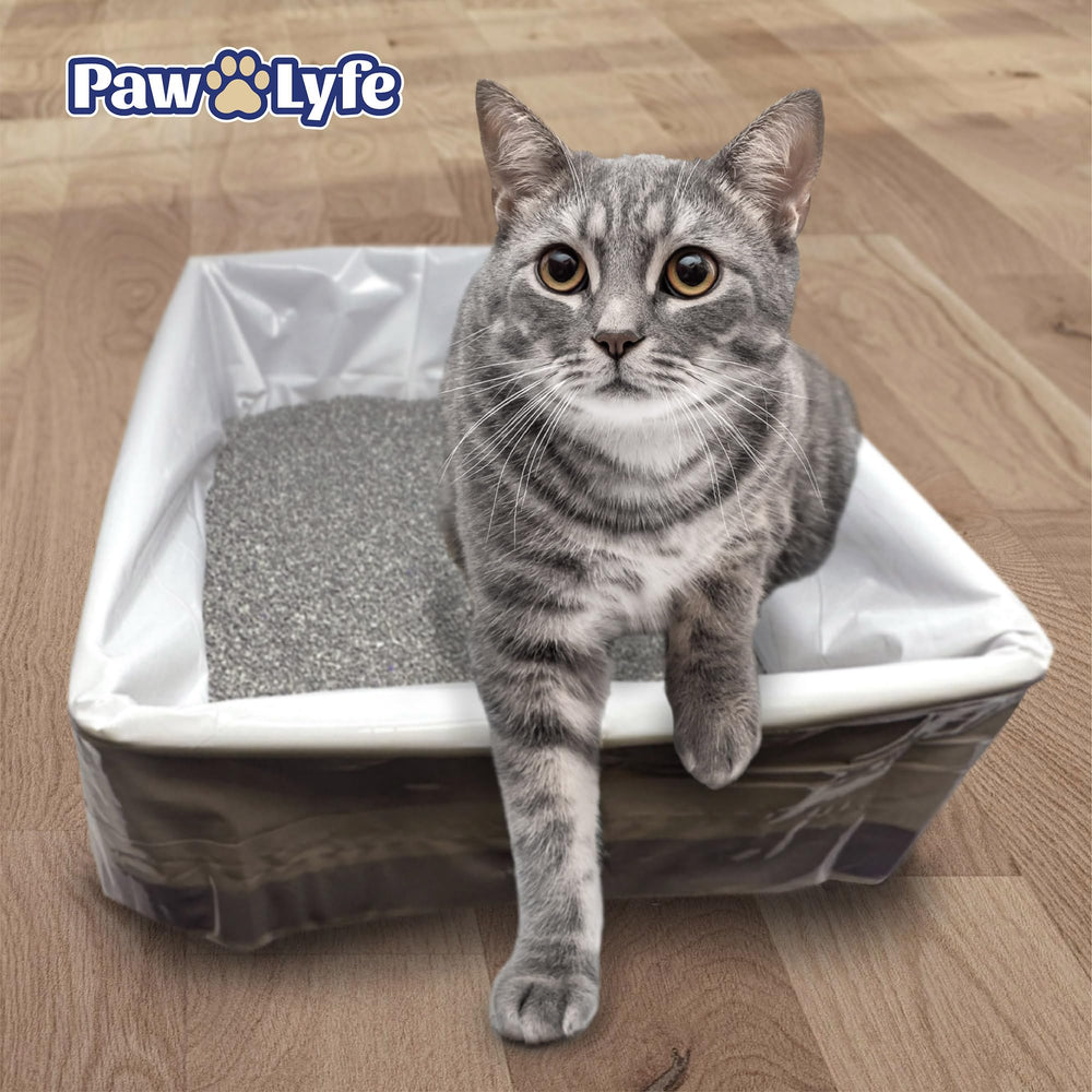 PawLyfe box-of-20 liners ensures ready replacements