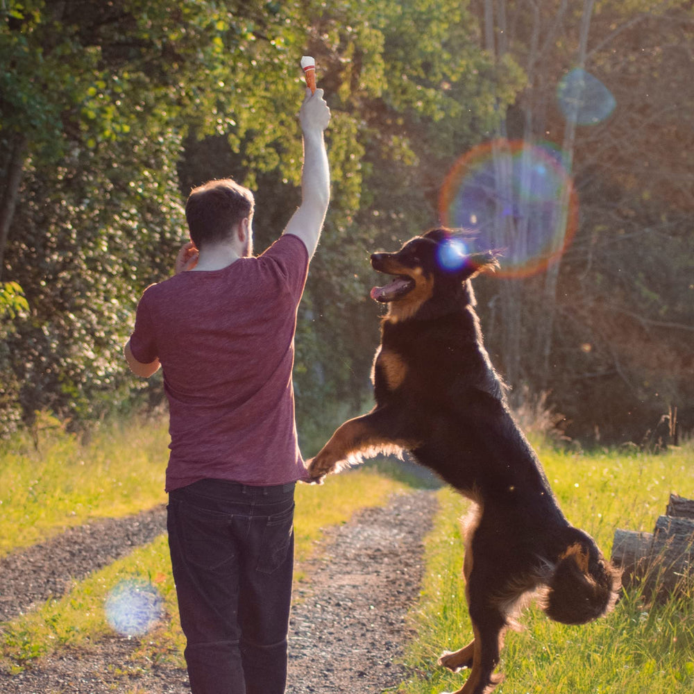 Pawmate supervised use of large-breed bones ensures safe chewing.