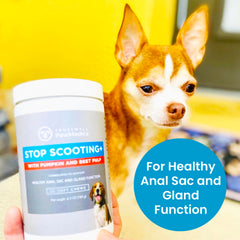 PawMedica Lab-tested seal shown for safety and quality