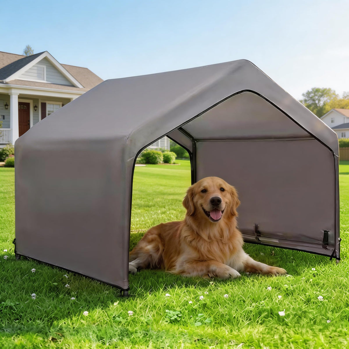 PAWMMO dog shade shelter exterior 4x4 showing spacious outdoor refuge and sun protection