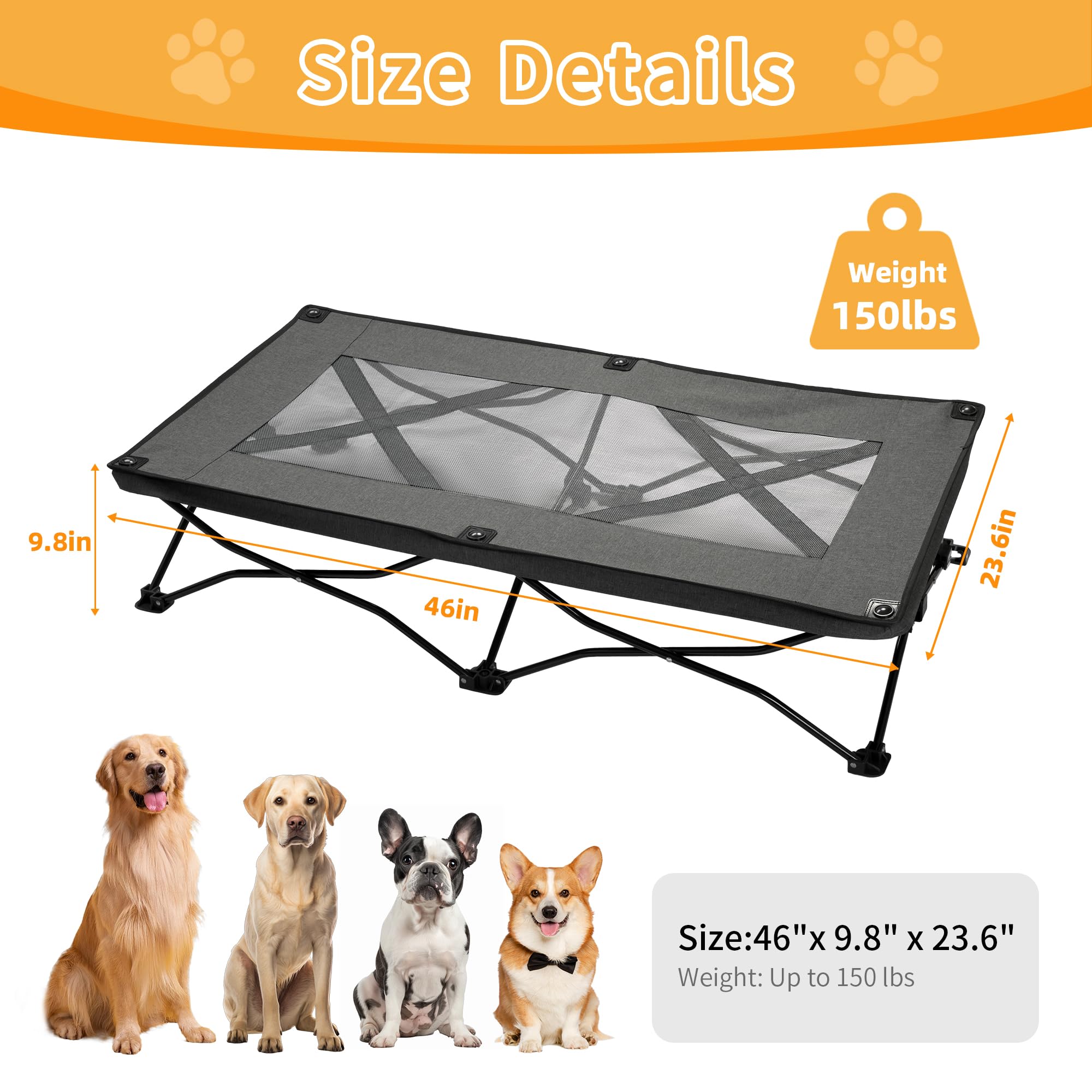 PAWMMO portable folding dog cot enables quick setup and travel convenience.