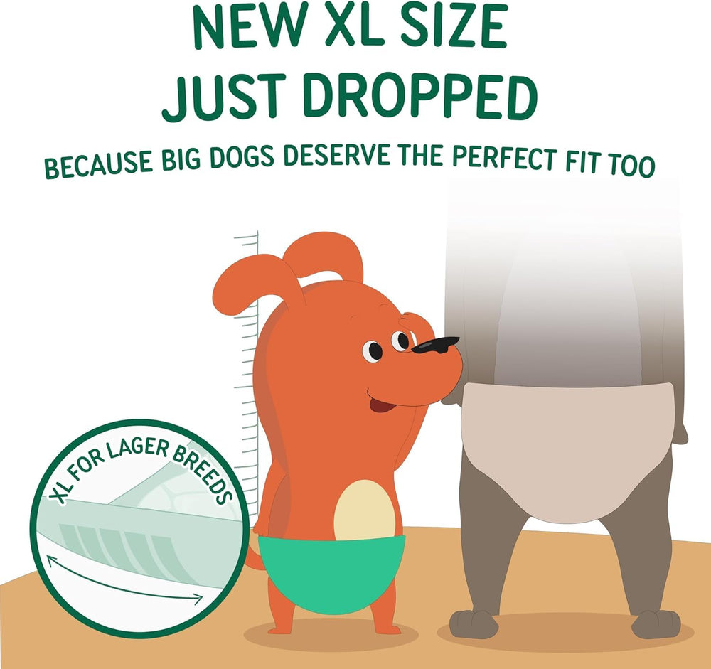 PAWPANG absorbent core technology delivers extra dryness for longer wear.