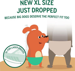 PAWPANG absorbent core technology delivers extra dryness for longer wear.