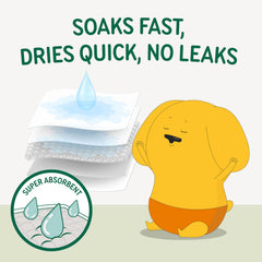 PAWPANG liner core emphasizes enhanced absorbency and longer dryness.
