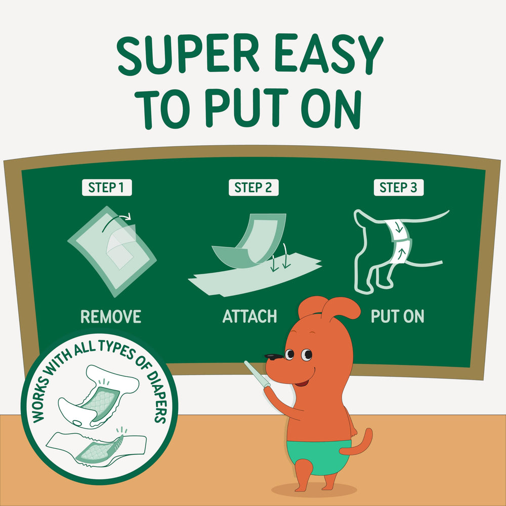 PAWPANG soft-skin safe insert designed for sensitive dogs.
