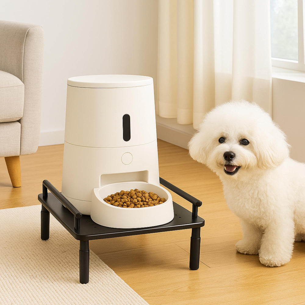 PAWPARAGON raised feeder stand with feeder attached demonstrates clean elevated placement.