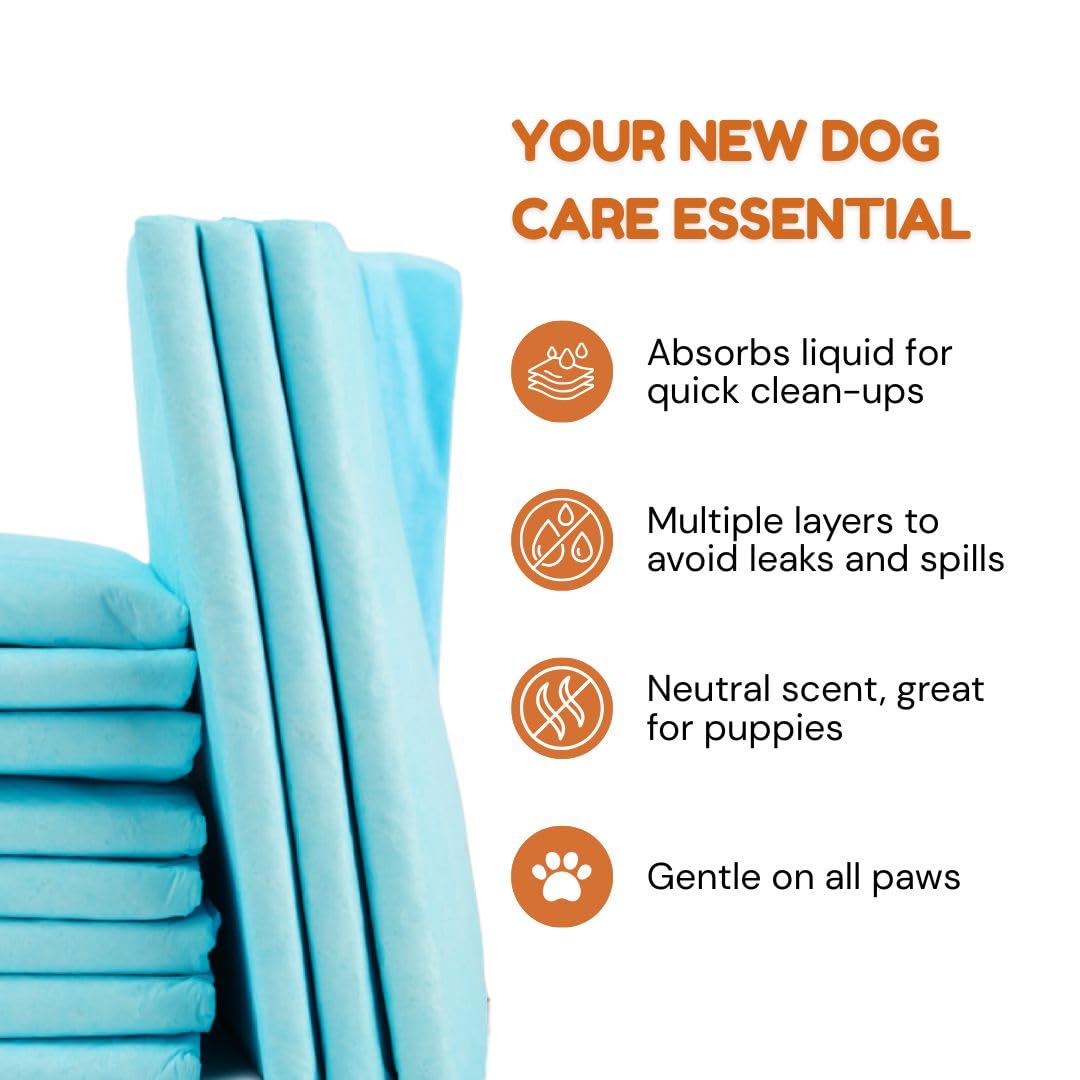 Pawpha UltraCare absorbent core close-up highlights moisture locking action.