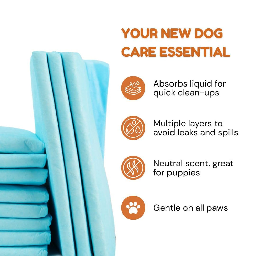 Pawpha UltraCare absorbent core close-up highlights moisture locking action.