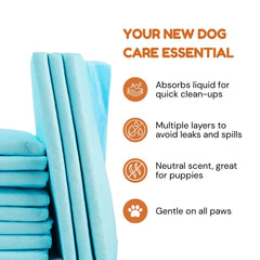 Pawpha UltraCare absorbent core close-up highlights moisture locking action.