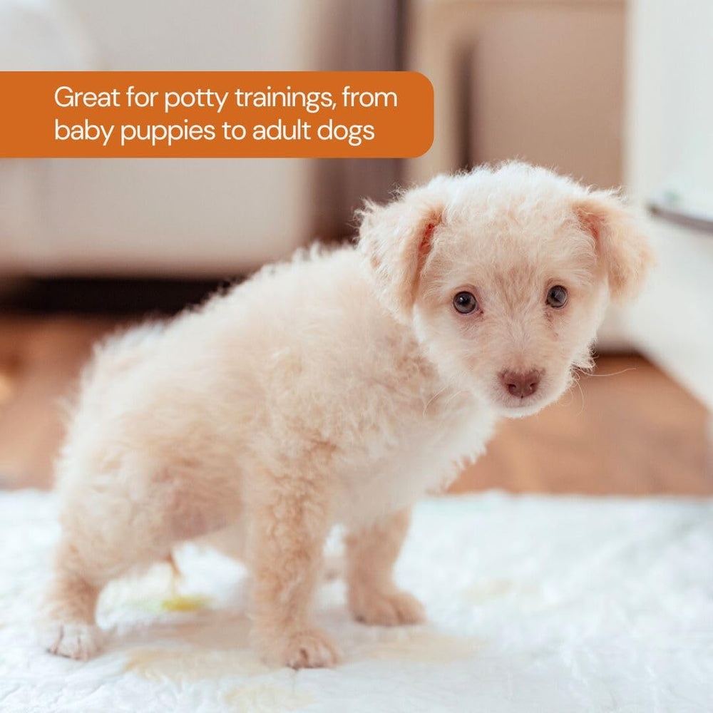 Pawpha UltraCare gentle-on-paws material prioritizes pet comfort.