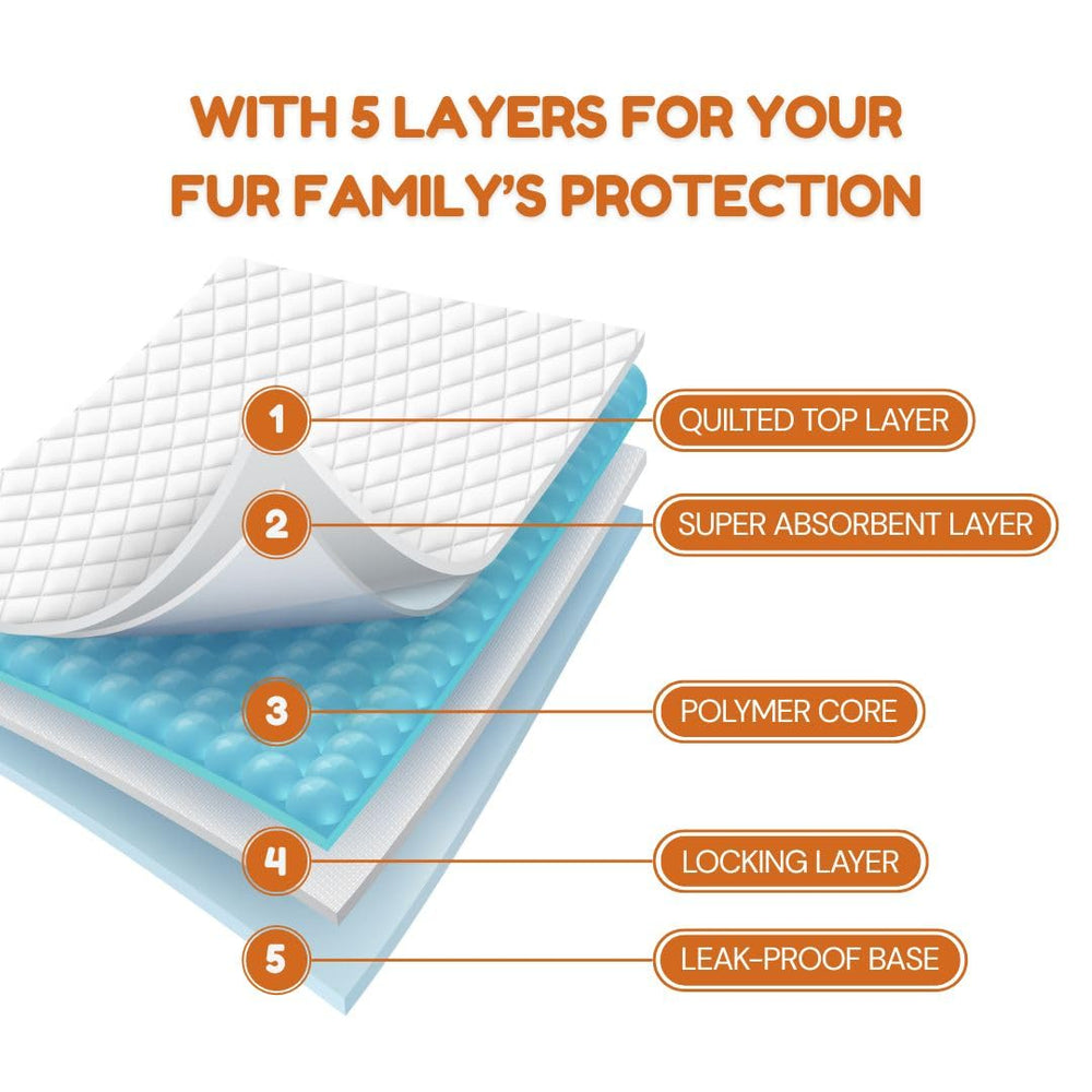 Pawpha UltraCare leak barrier protection prevents overflow on floors.