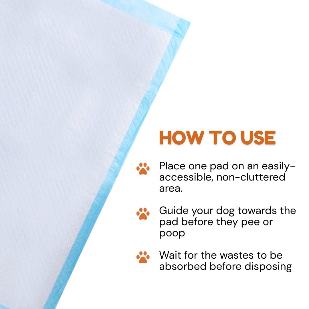 Pawpha UltraCare quick-dry surface keeps paws clean and safe.