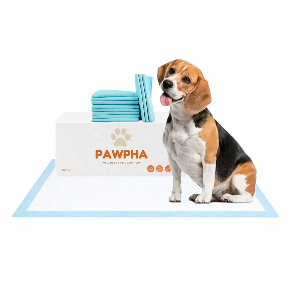 Pawpha UltraCare XL Puppy Pads package shown, ideal for training and travel.