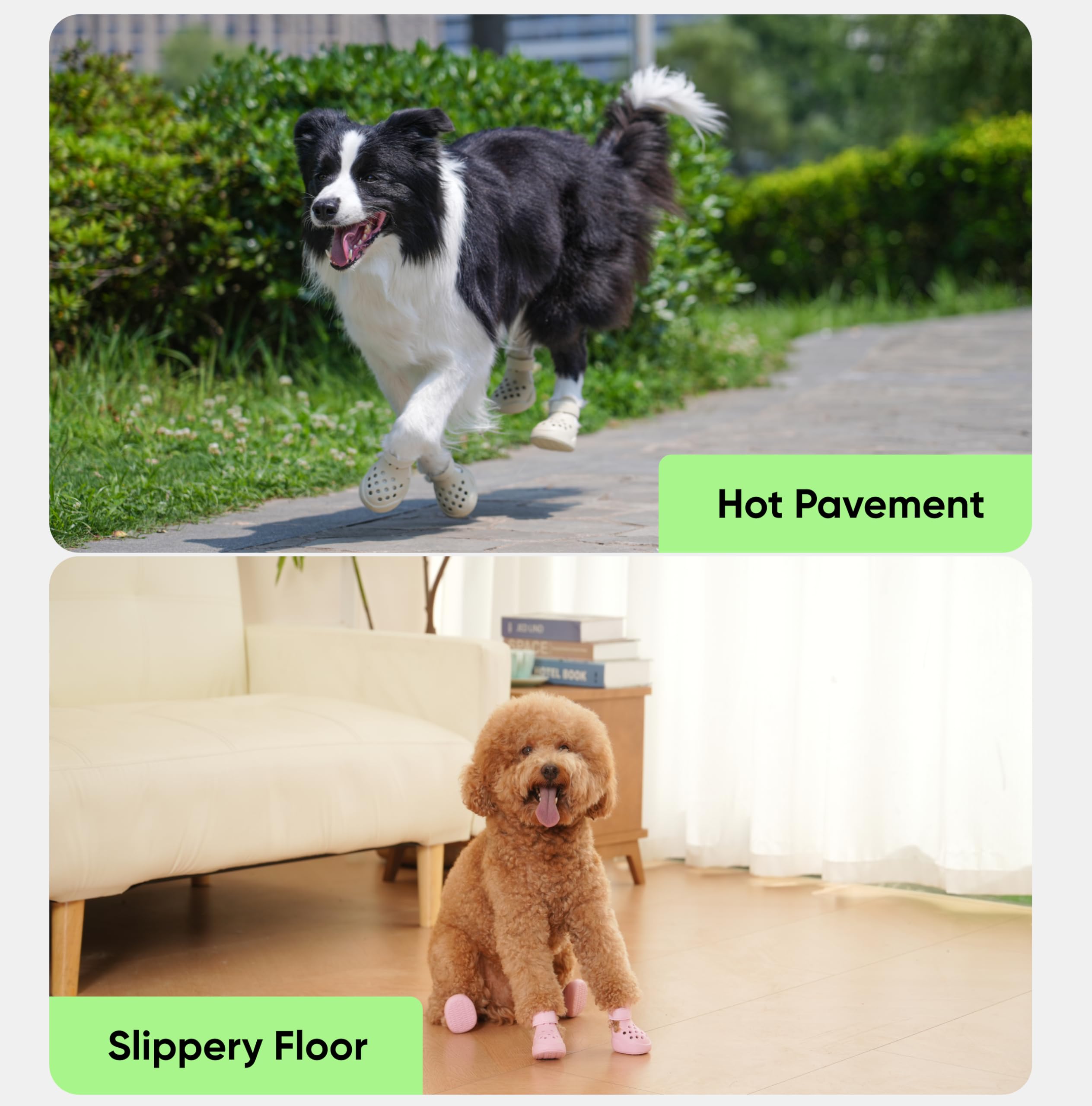 PawPosh clog-style booties simplify daily outdoor walks.