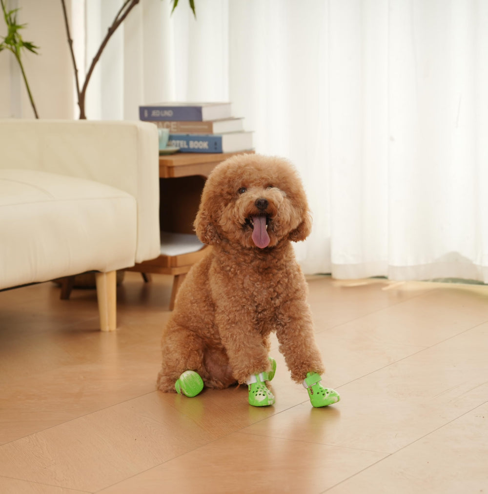PawPosh sizes available from small to large for many dogs.
