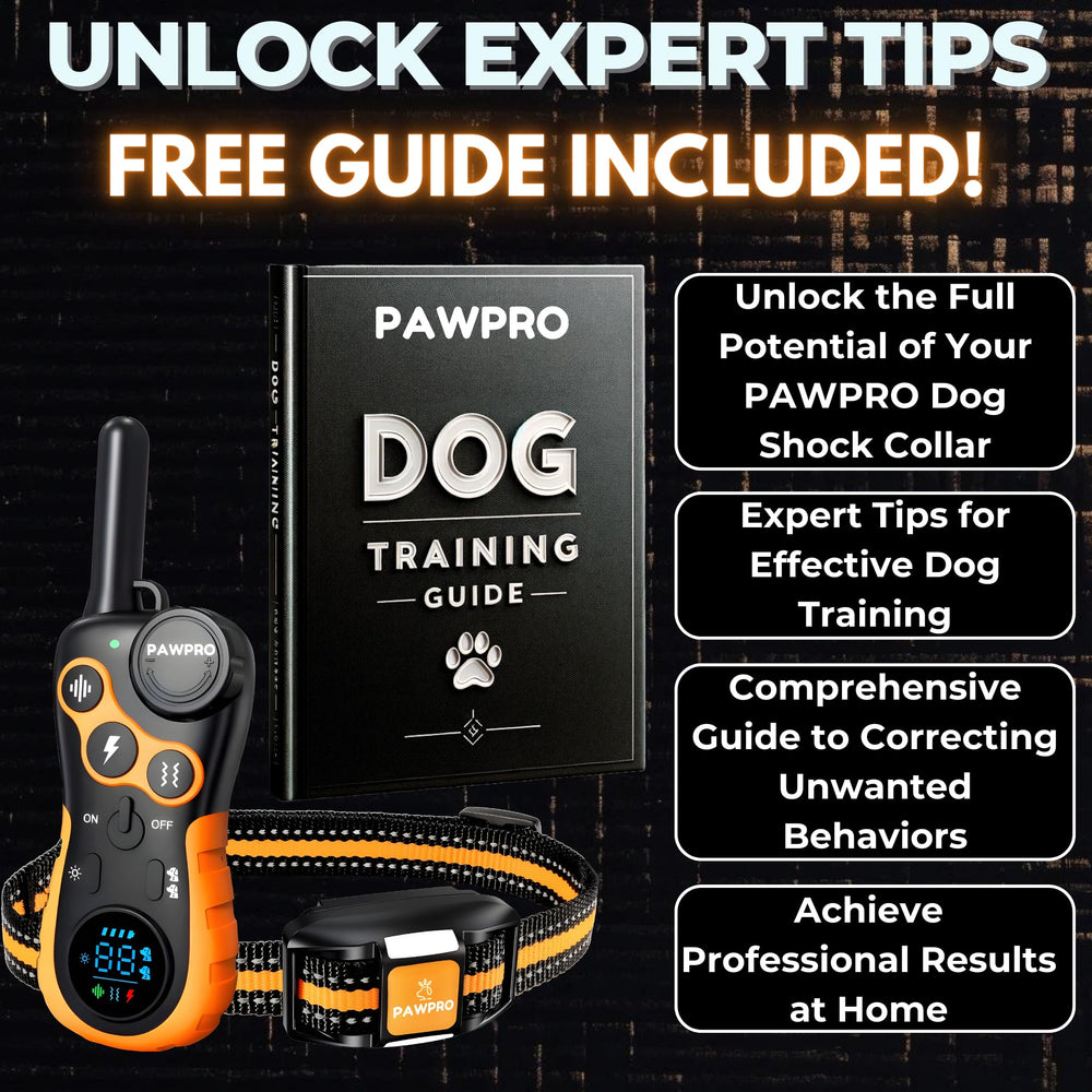 PAWPRO 124 levels and four modes tailor feedback to temperament