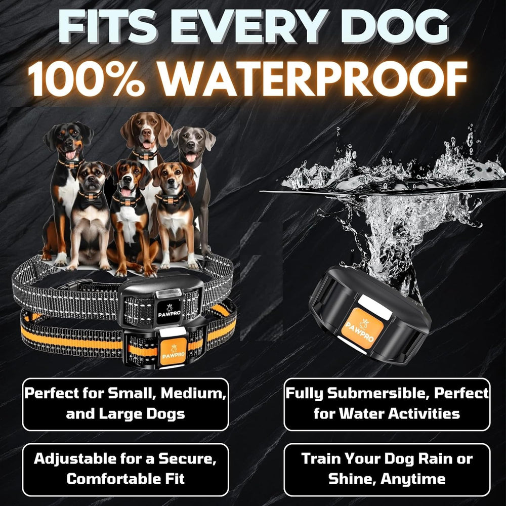PAWPRO four-mode system with adjustable levels for tailored feedback.