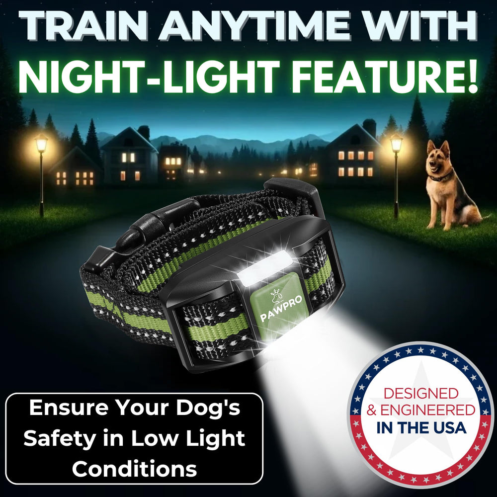 PAWPRO IPX7 waterproof collar ready for rain and mud