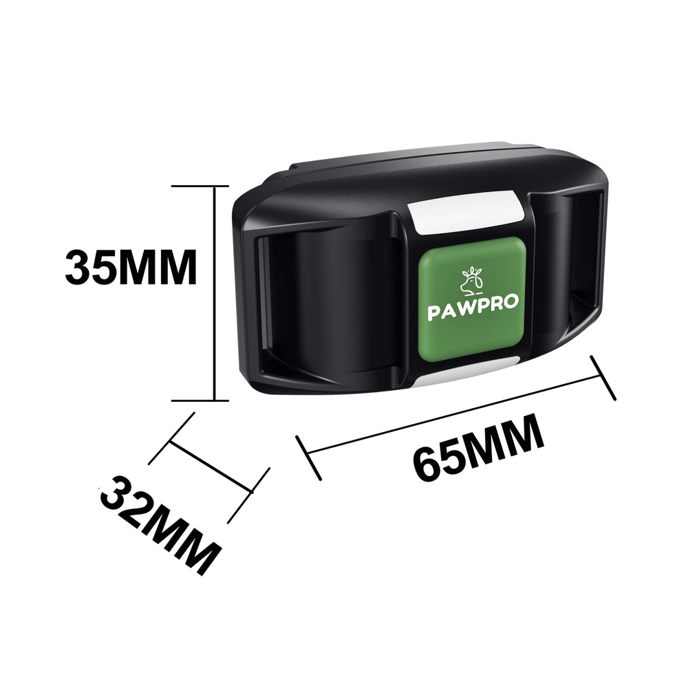 PAWPRO night-light mode enhances visibility during dusk walks