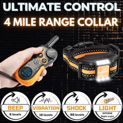 PAWPRO remote with dual-channel control for training two dogs at once.