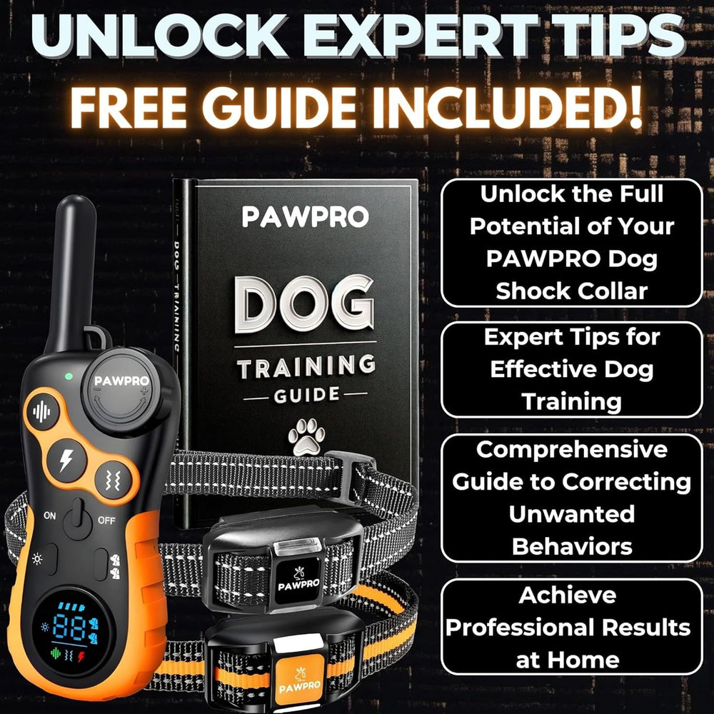 PAWPRO waterproof collar IPX7 for rain, mud, and outdoor adventures.