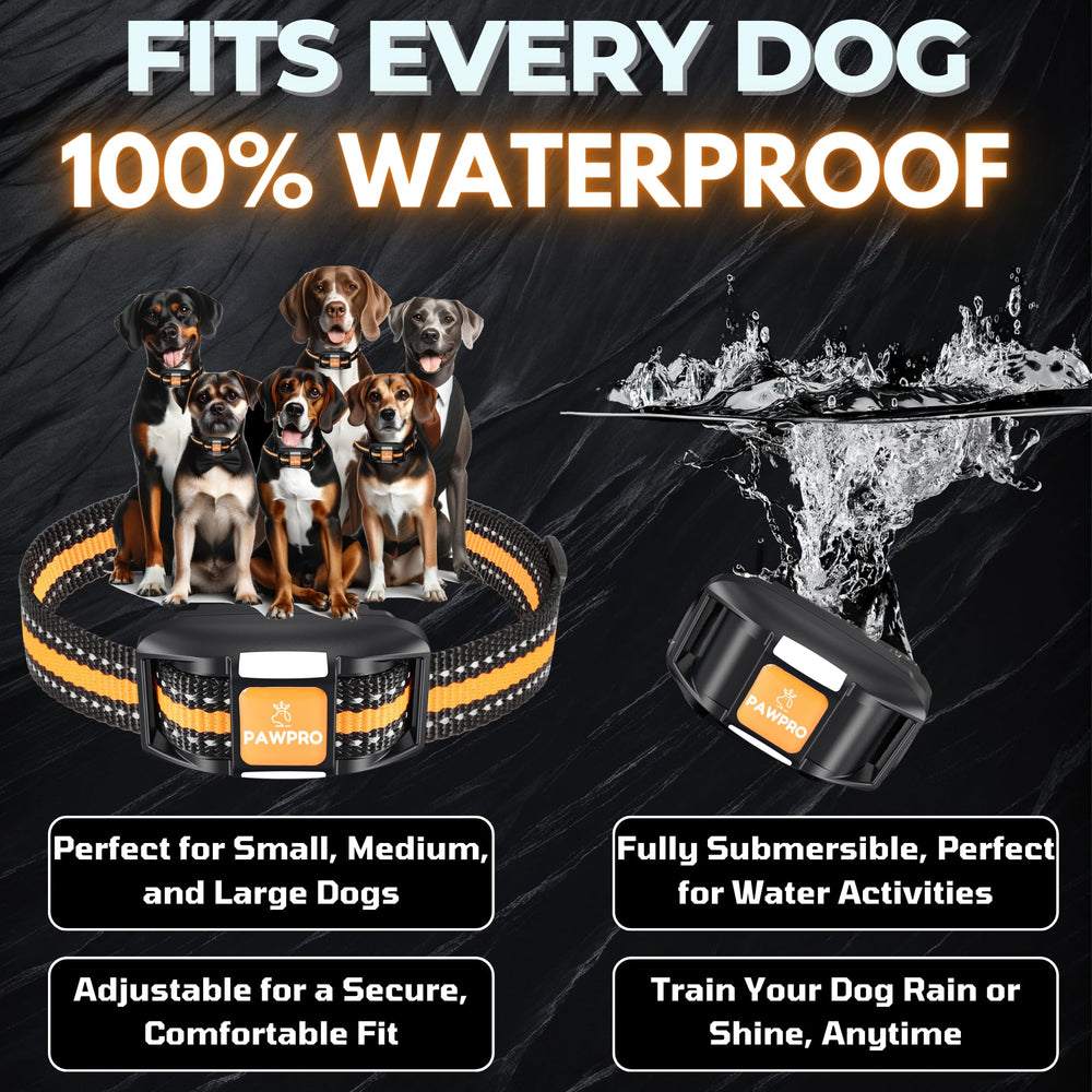 PAWPRO waterproof IPX7 collar for rain and mud workouts