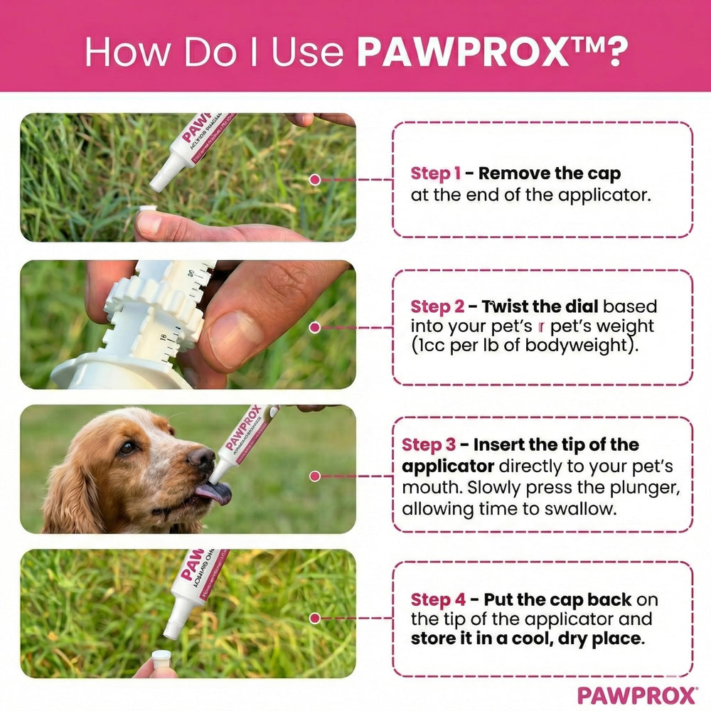 PawProx gel in a dog first aid kit for emergencies