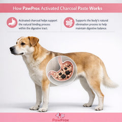 PawProx gel texture close up highlights easy dosing