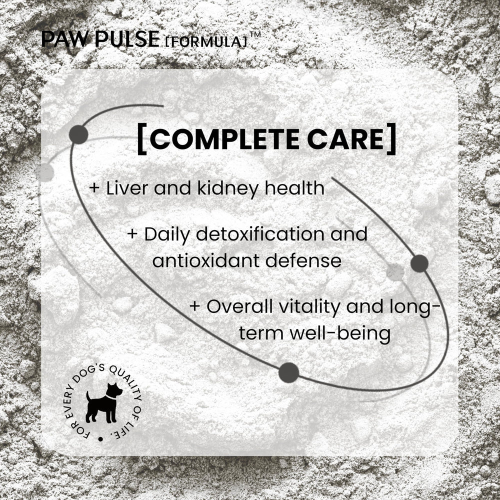 PAWPULSE FORMULA bottle pictured with dog signals daily health routine