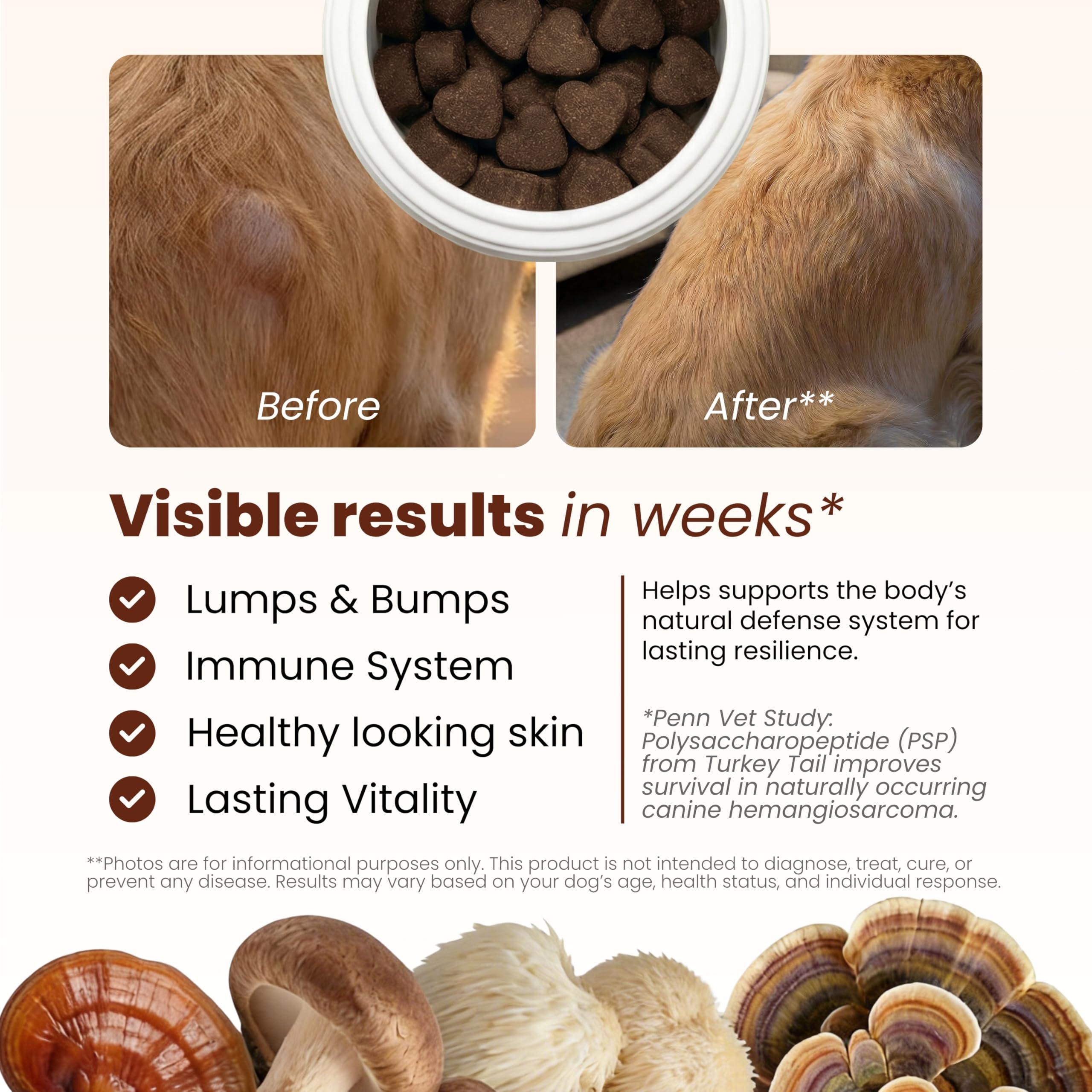 PAWPULSE FORMULA seven-mushroom blend label highlights immune balance for dogs.