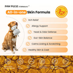PAWPULSE FORMULA dog itch relief chews closeup highlighting chewy texture and flavor