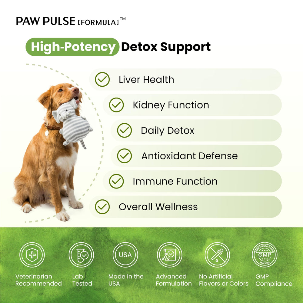 PAWPULSE FORMULA dog supplement scoop enables easy daily dosing
