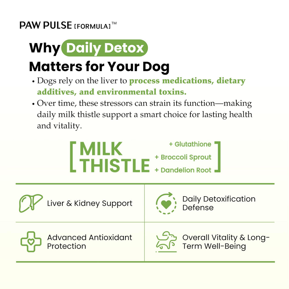 PAWPULSE FORMULA ingredients closeup shows silymarin and glutathione blend