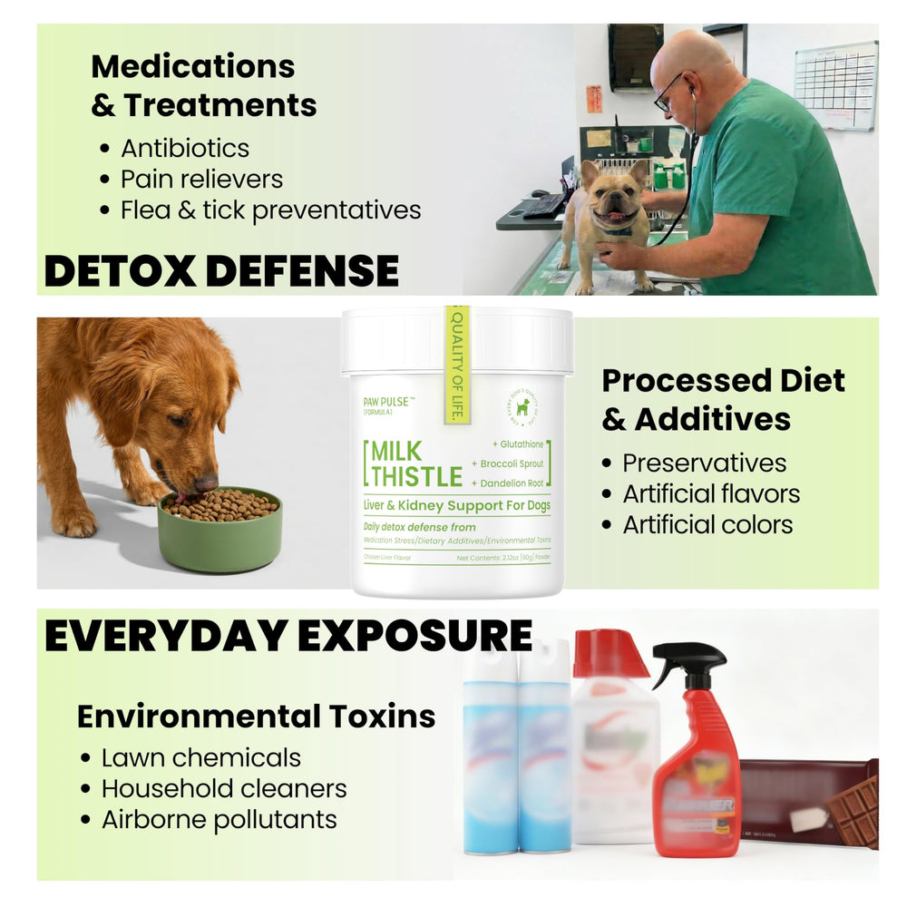 PAWPULSE FORMULA mixing into meals promotes simple, consistent detox support