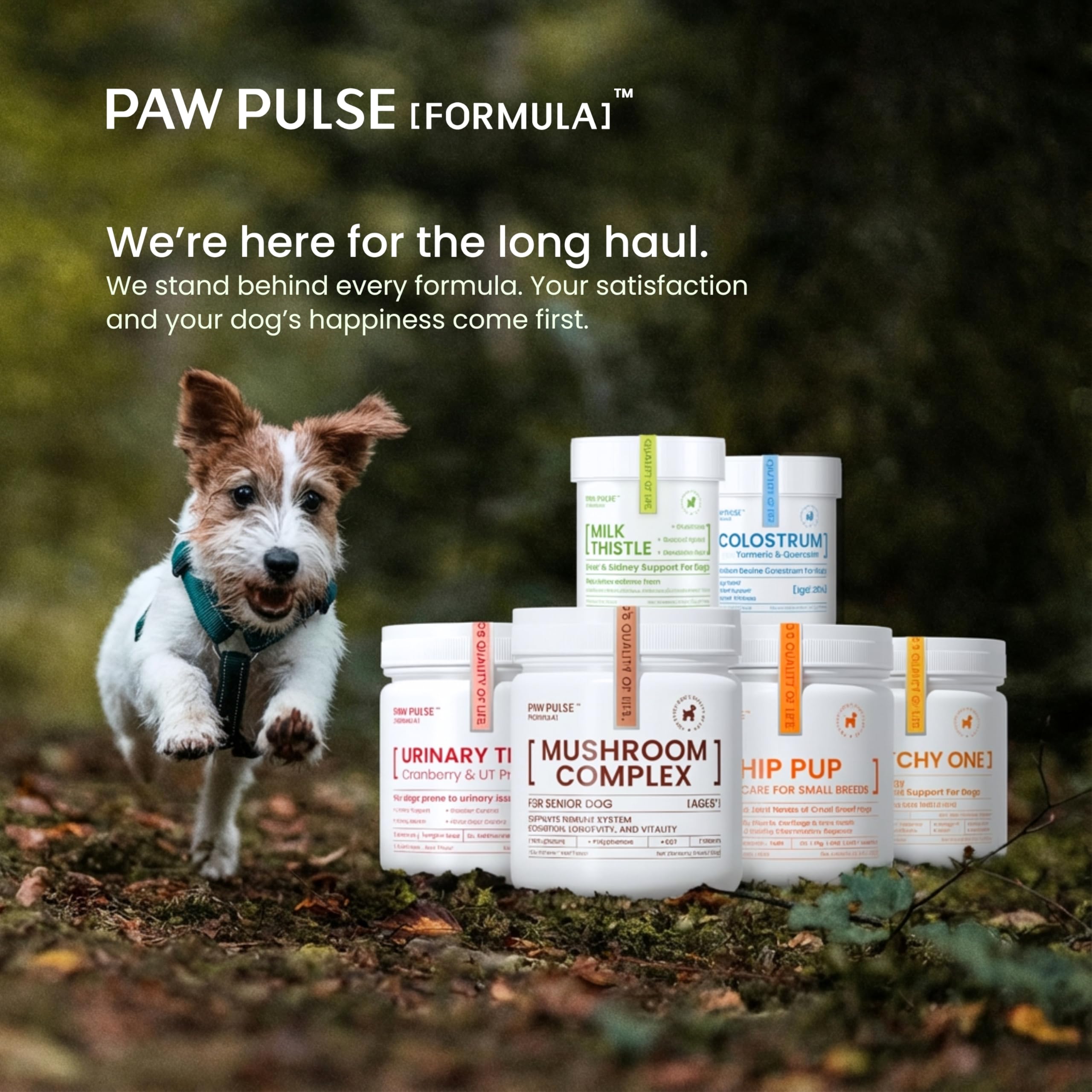PAWPULSE FORMULA packaging front view highlights urinary support and probiotics