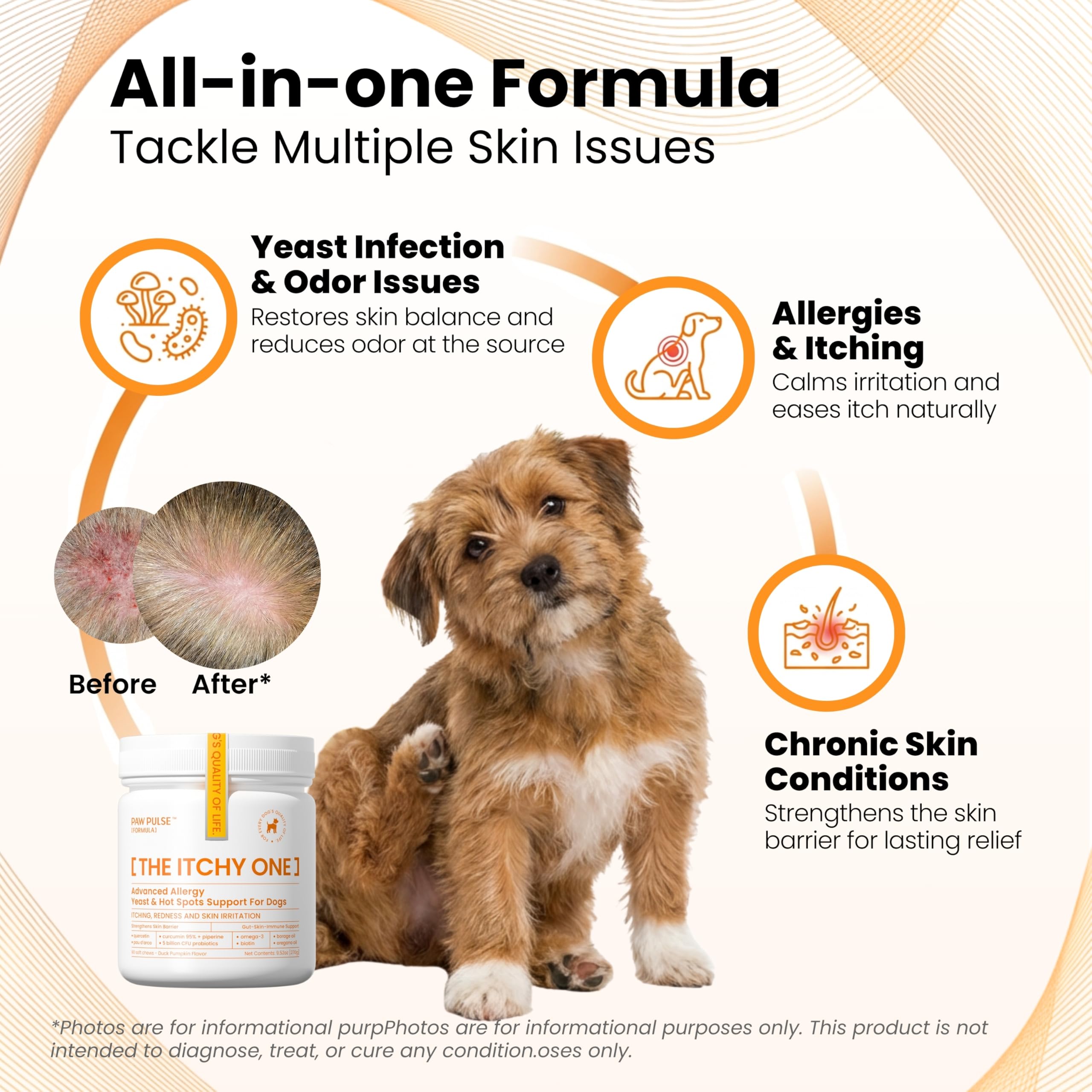 PAWPULSE FORMULA probiotic 5billion CFU chews bottle depicts gut immune support potential