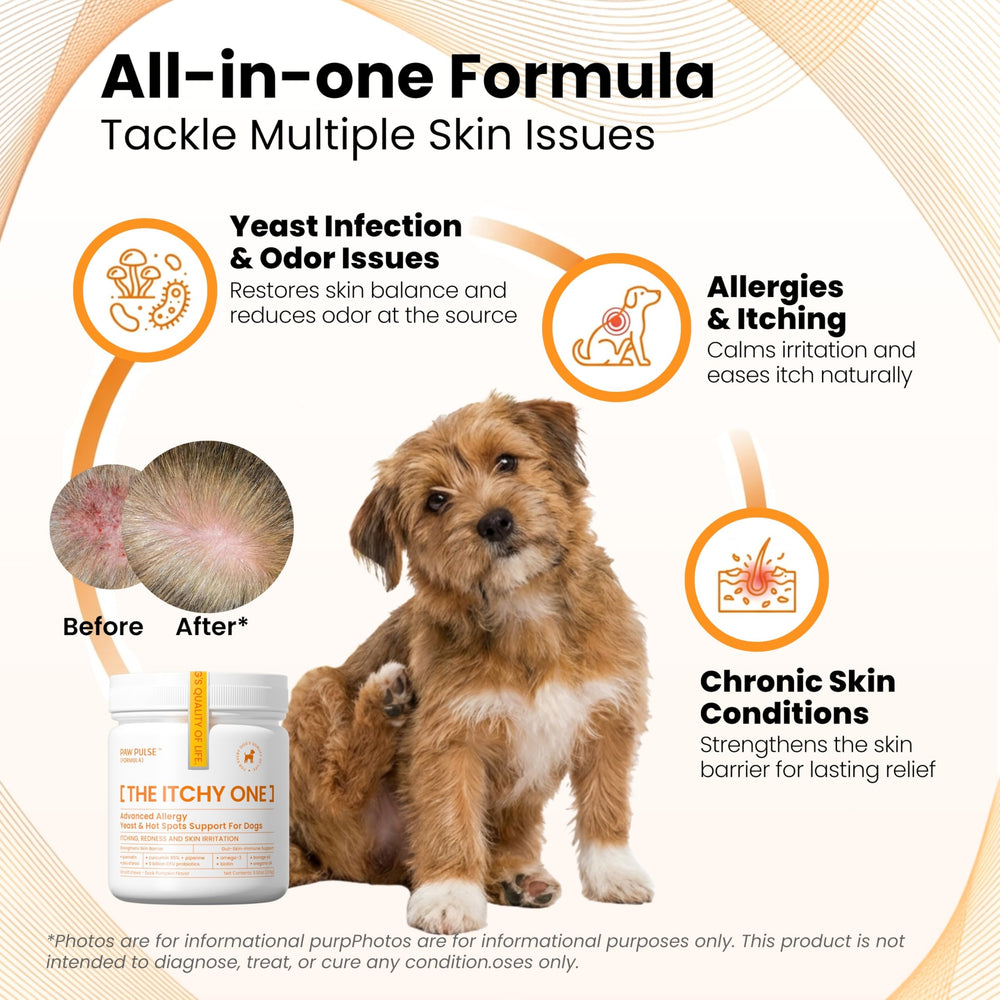 PAWPULSE FORMULA probiotic 5billion CFU chews bottle depicts gut immune support potential