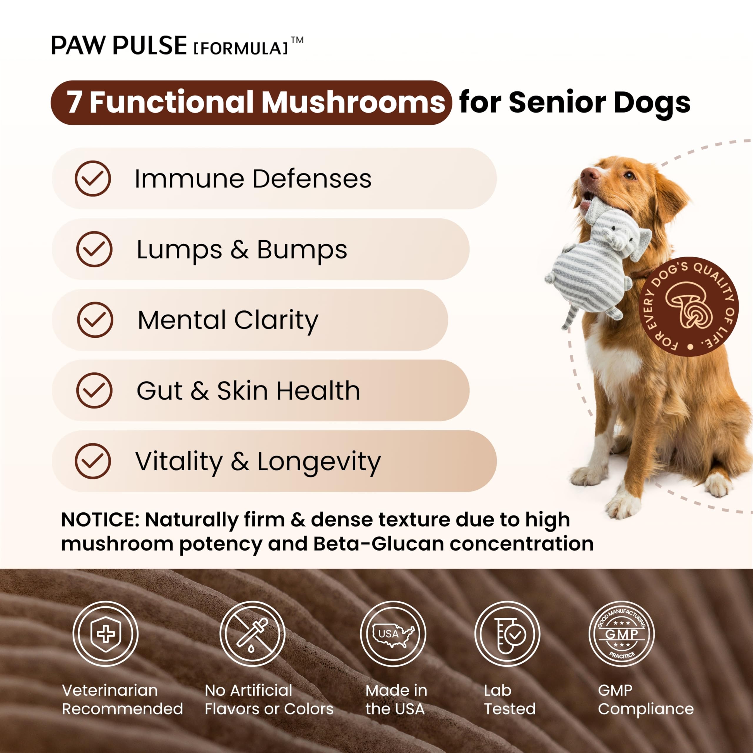PAWPULSE FORMULA soft chews in jar for dogs' daily wellness.