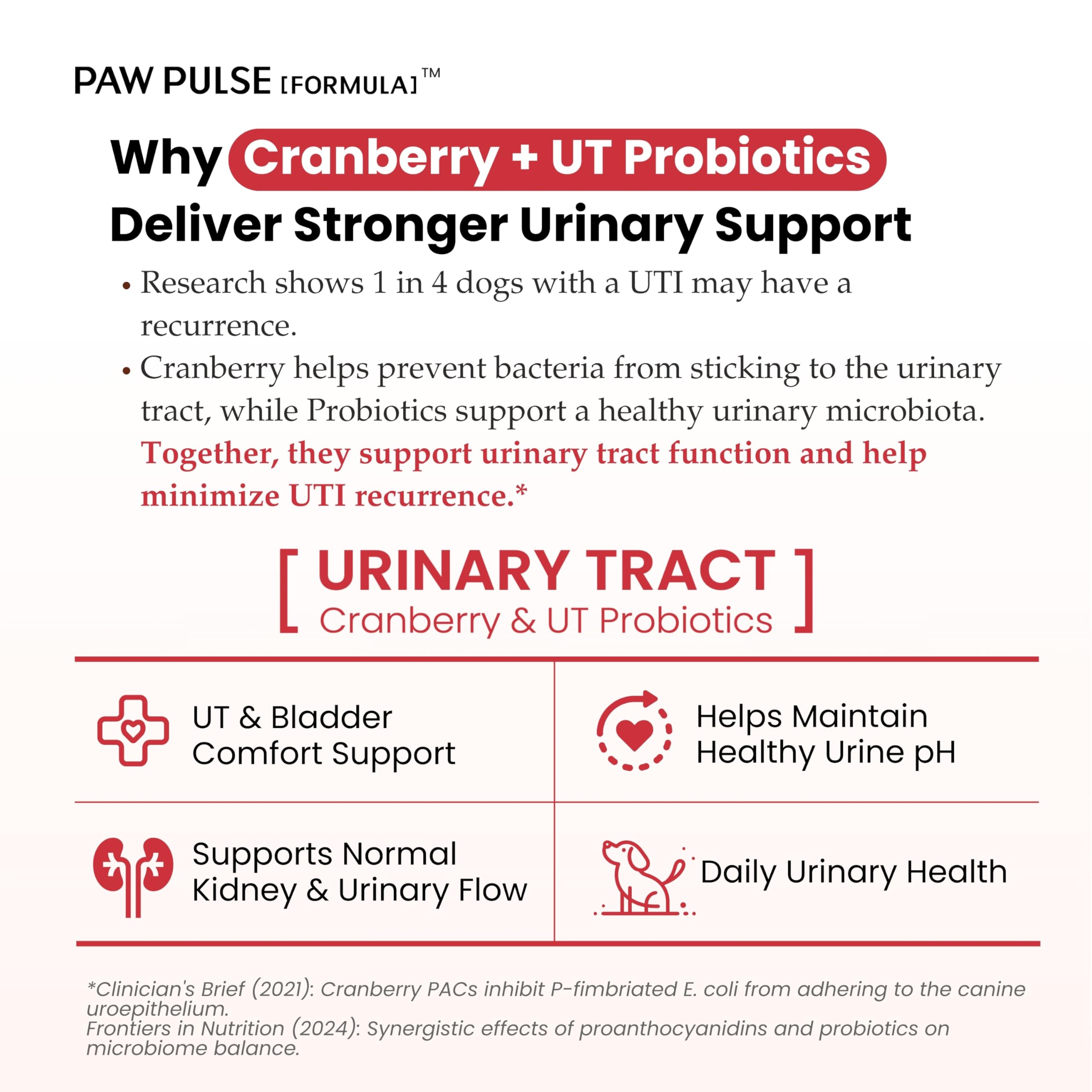 PAWPULSE FORMULA soft chews flavor enhances daily urinary health routine