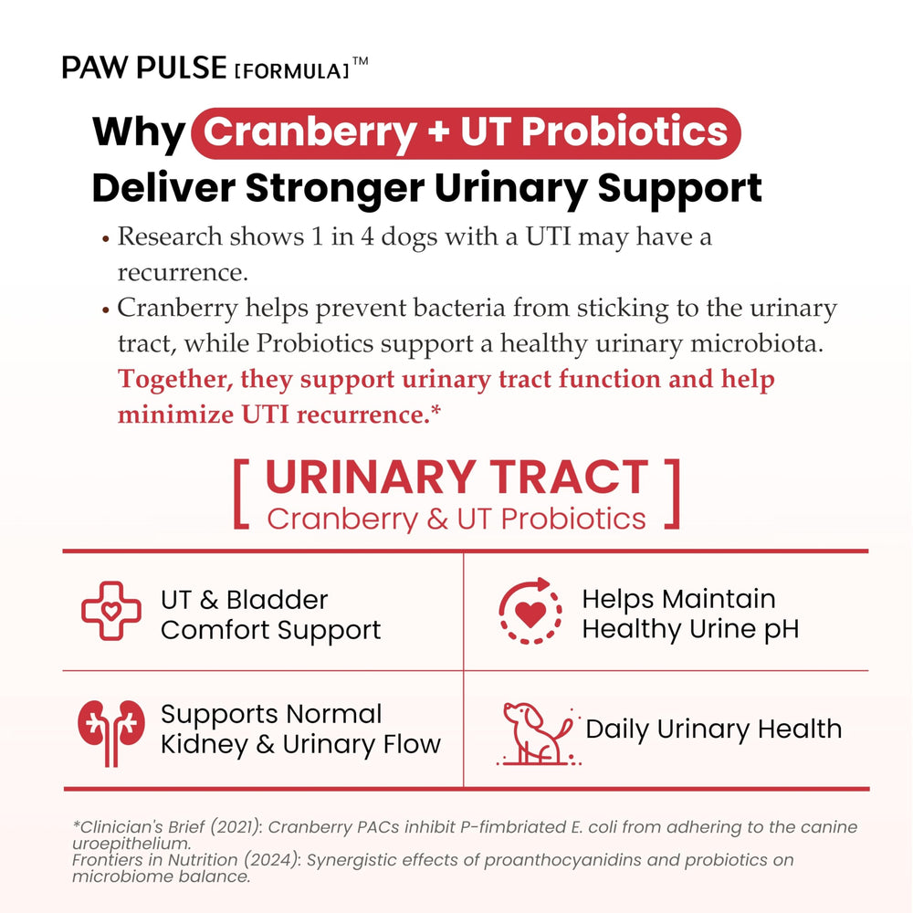 PAWPULSE FORMULA soft chews flavor enhances daily urinary health routine