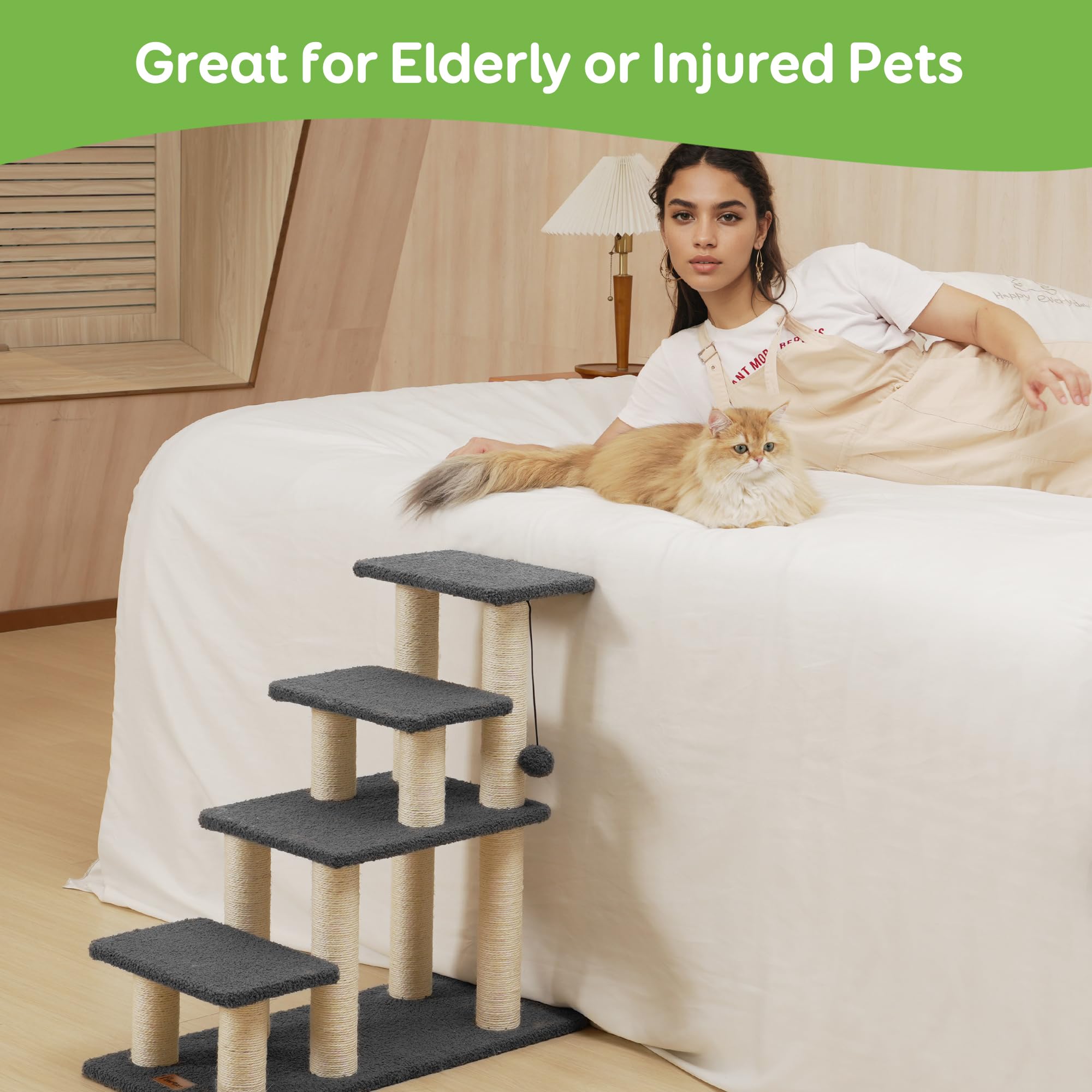 Pawque indoor climbing and play setup supports safe exploration