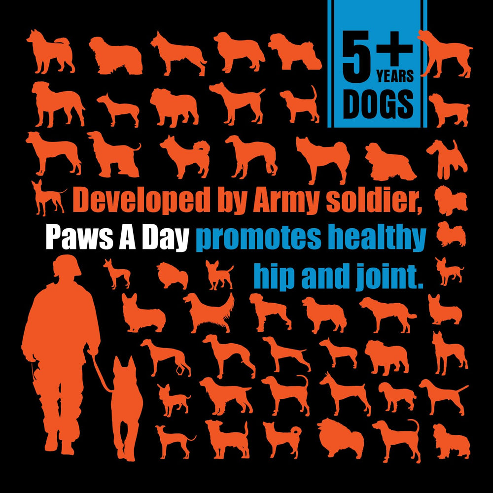 Close-up of Paws A Day chews, highlighting tasty texture and senior dog joint care.