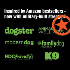 Paws A Day digestive health probiotics support balanced digestion for dogs.