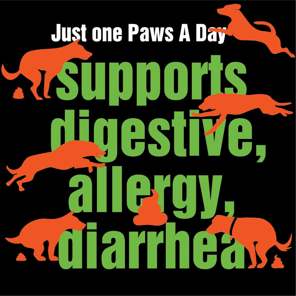 Paws A Day itch relief dog chews highlight skin comfort potential.