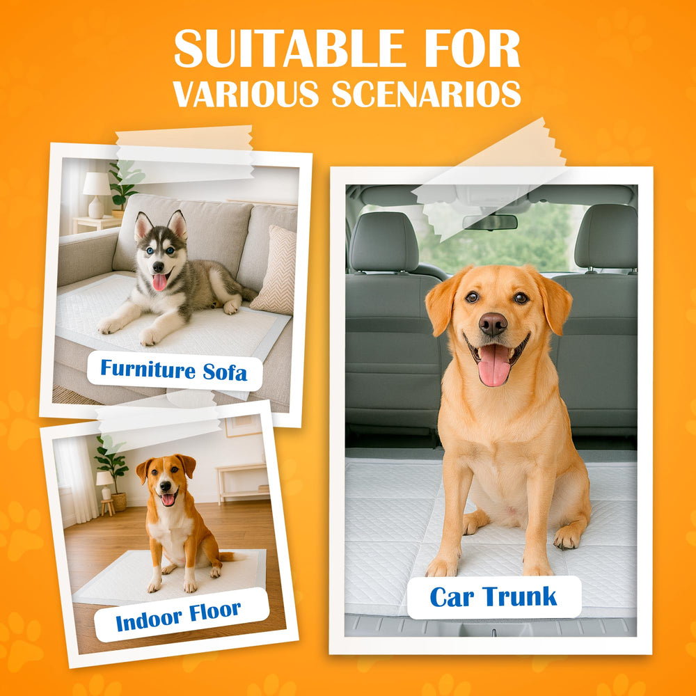 Paws & Claws pad durable top layer tested against paw use
