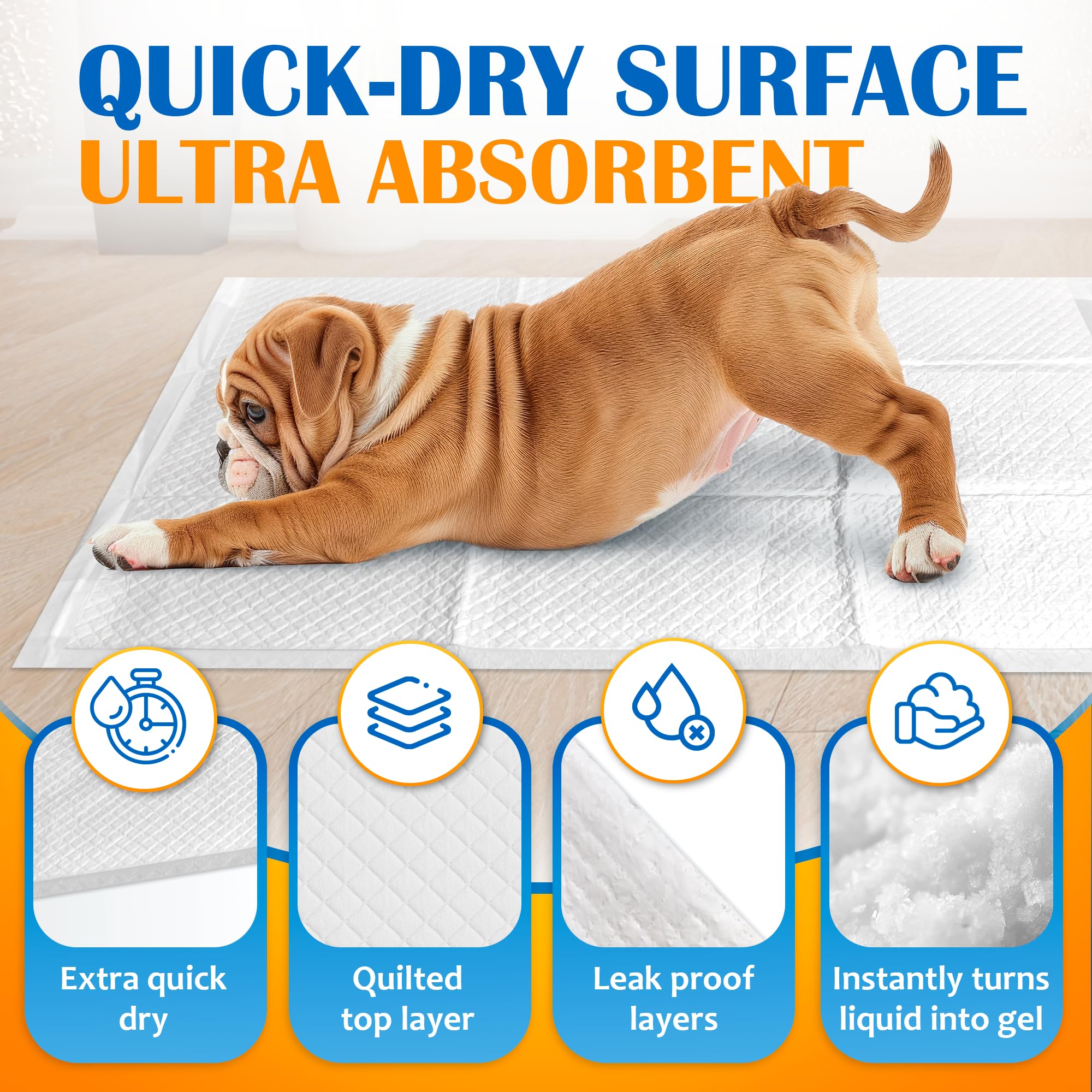 Paws & Claws pad odor-control feature helps maintain freshness