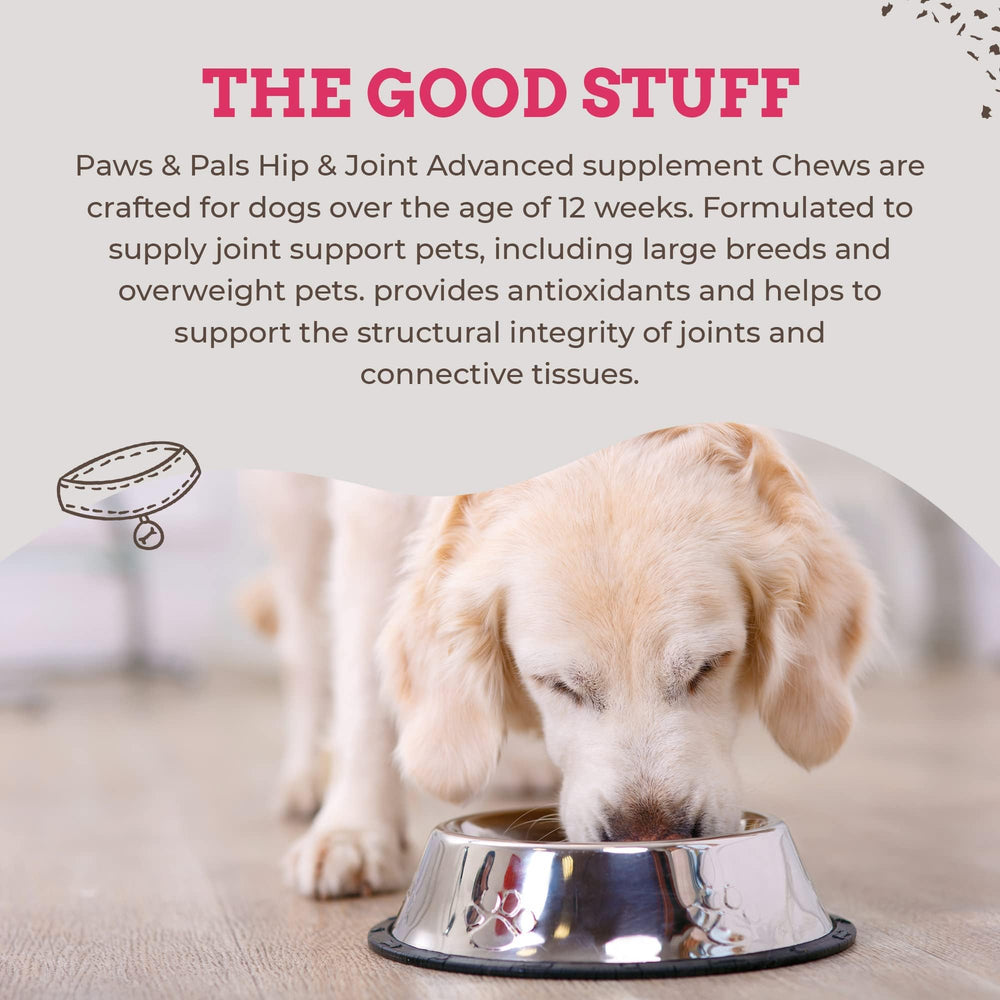 Paws and Pals all-breeds formula for dogs of all sizes.