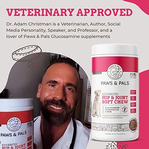 Paws and Pals close-up chew texture suggests palatable consistency.