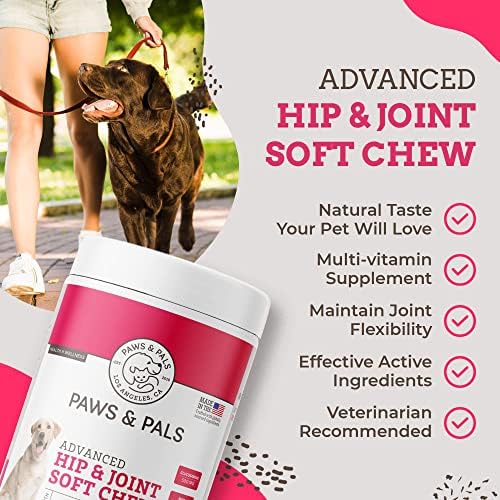 Paws and Pals hand offering chew for daily joint care.
