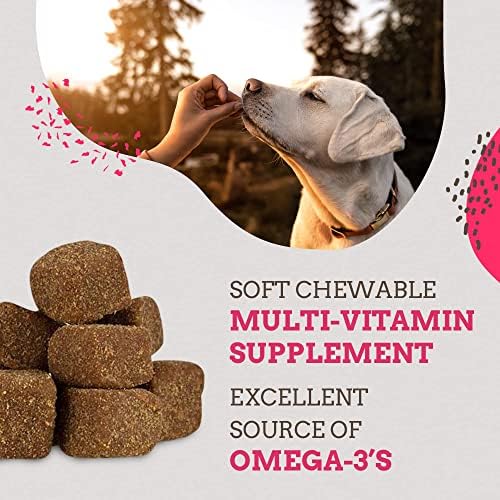 Paws and Pals soft chews for dogs shown as easy daily mobility aid.